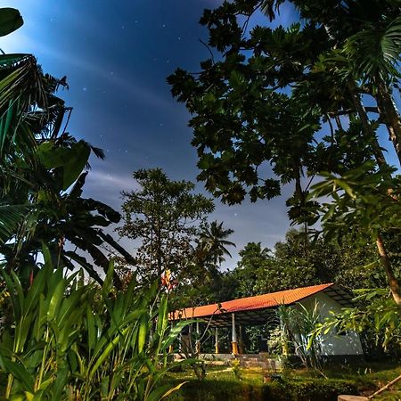 Coconut Villa Midigama East Zewnętrze zdjęcie