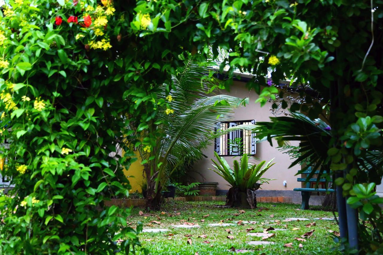 Coconut Villa Midigama East Zewnętrze zdjęcie