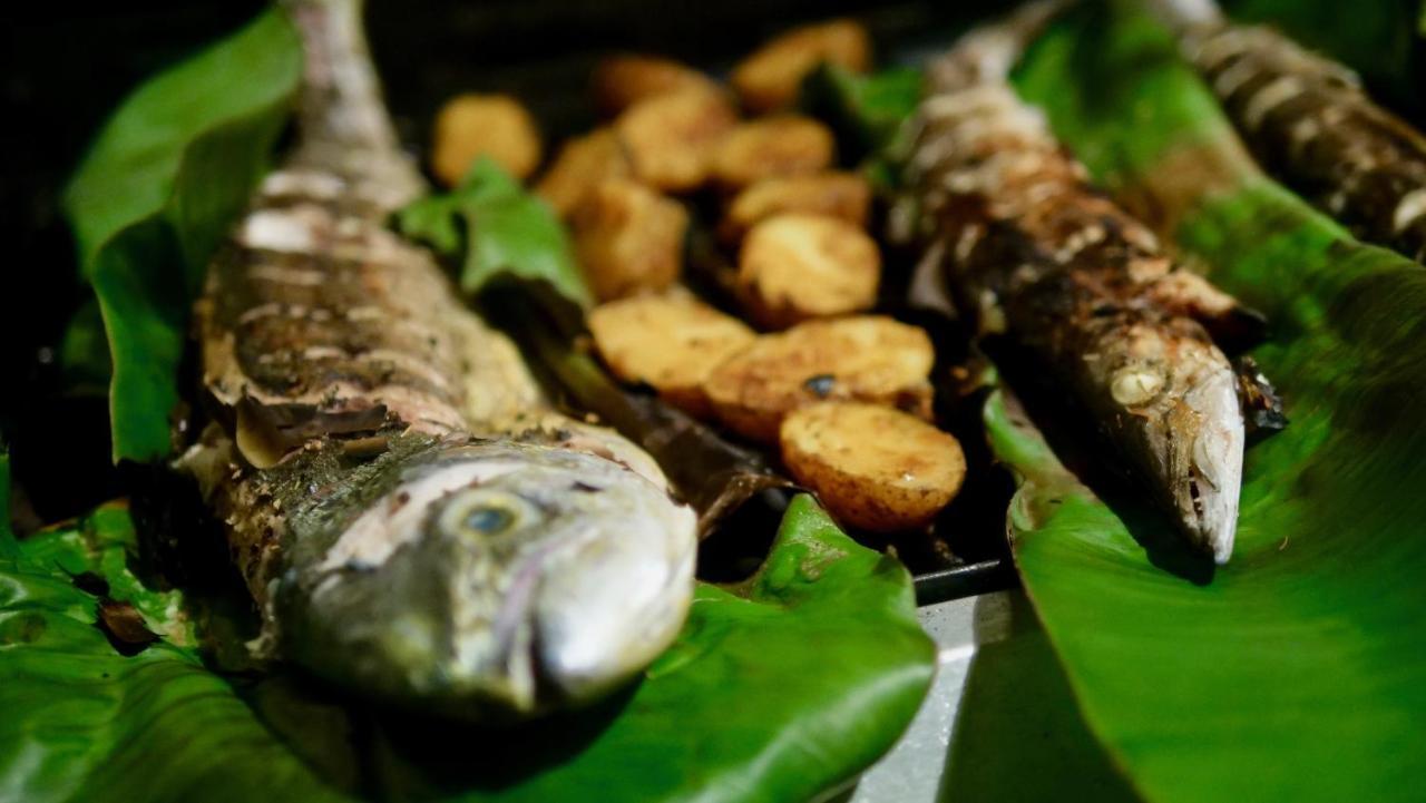 Coconut Villa Midigama East Zewnętrze zdjęcie