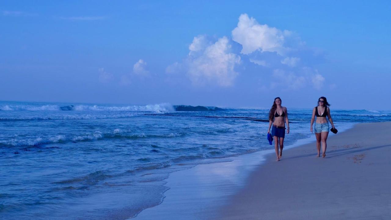 Coconut Villa Midigama East Zewnętrze zdjęcie