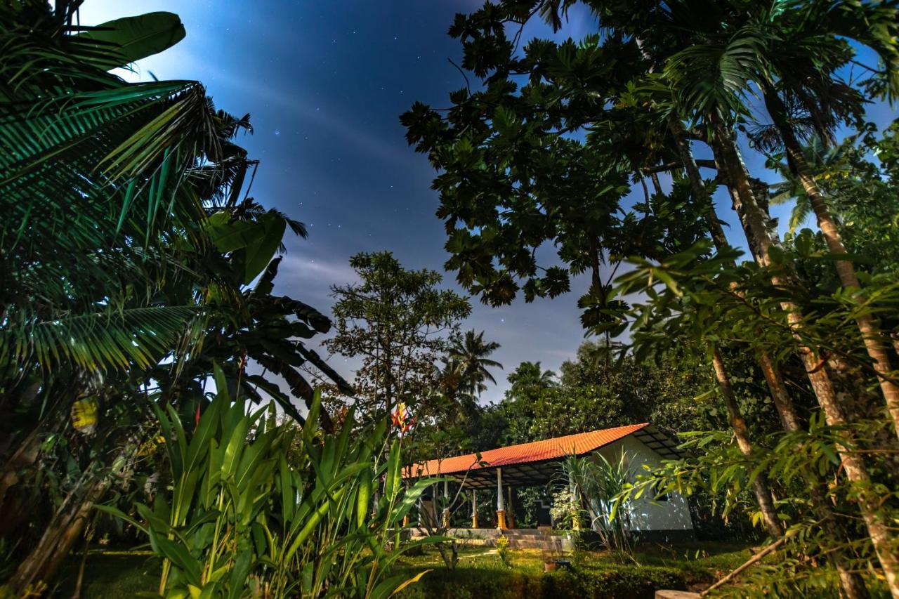 Coconut Villa Midigama East Zewnętrze zdjęcie