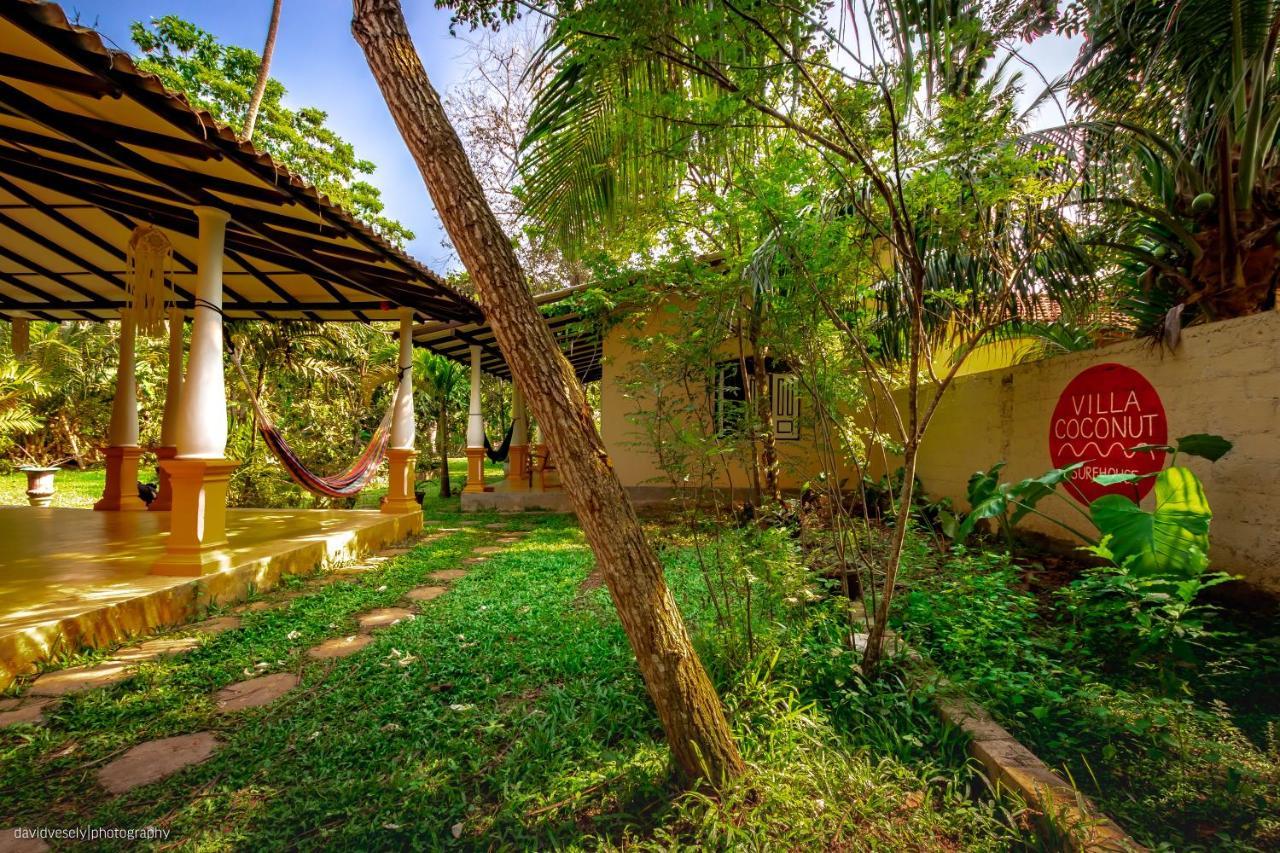 Coconut Villa Midigama East Zewnętrze zdjęcie