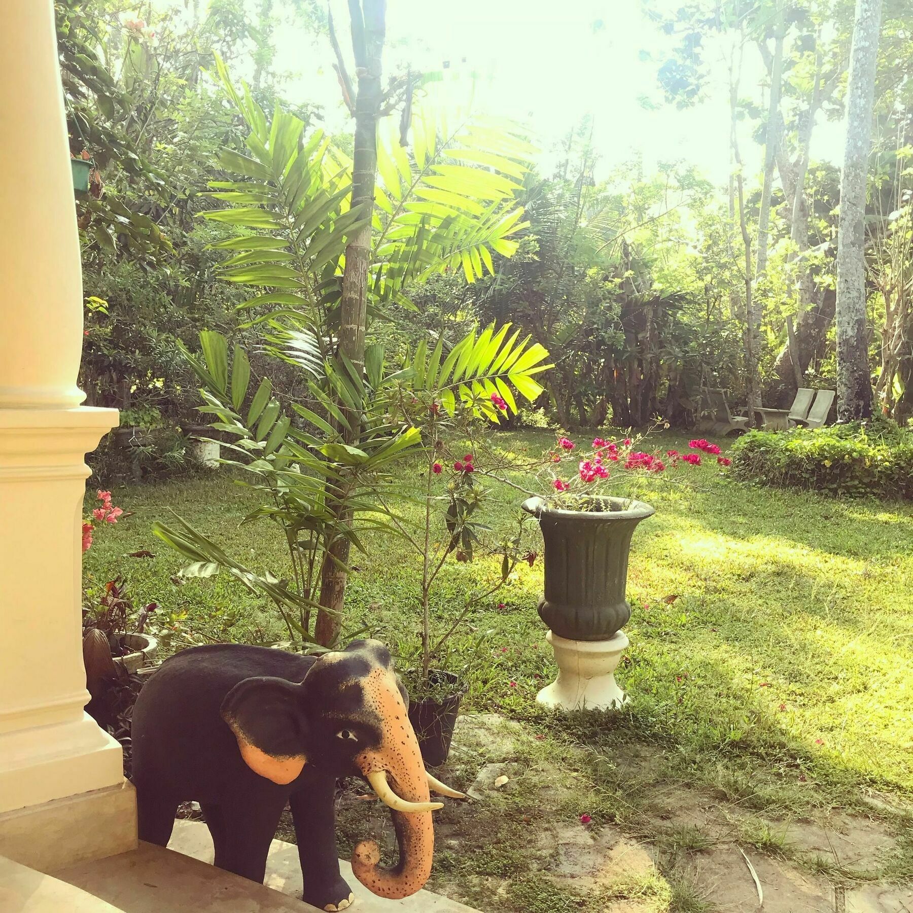 Coconut Villa Midigama East Zewnętrze zdjęcie